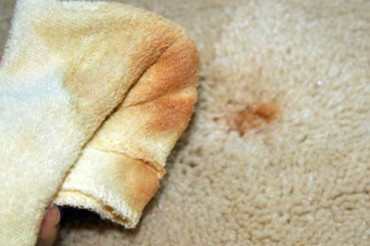 7 Ways to clean rust stains from carpet guided by KATAmats